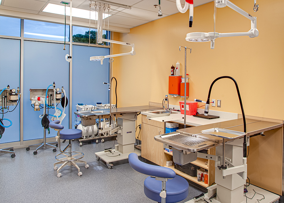 Dental care station