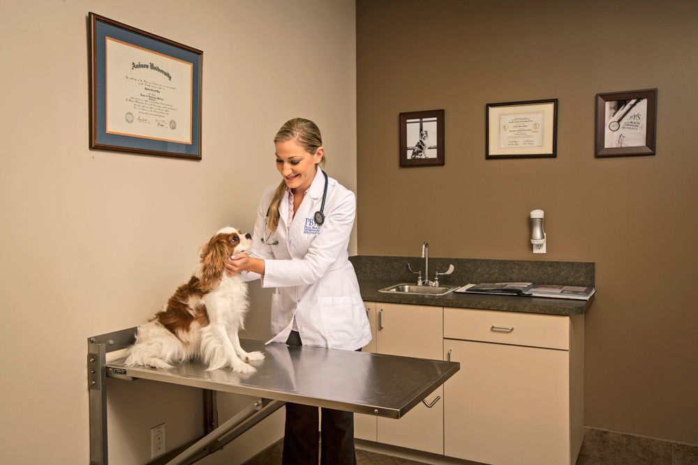 Examination room