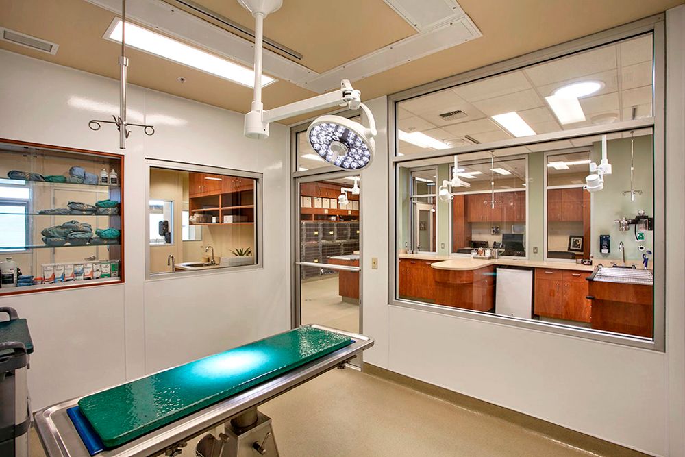 Surgery suite