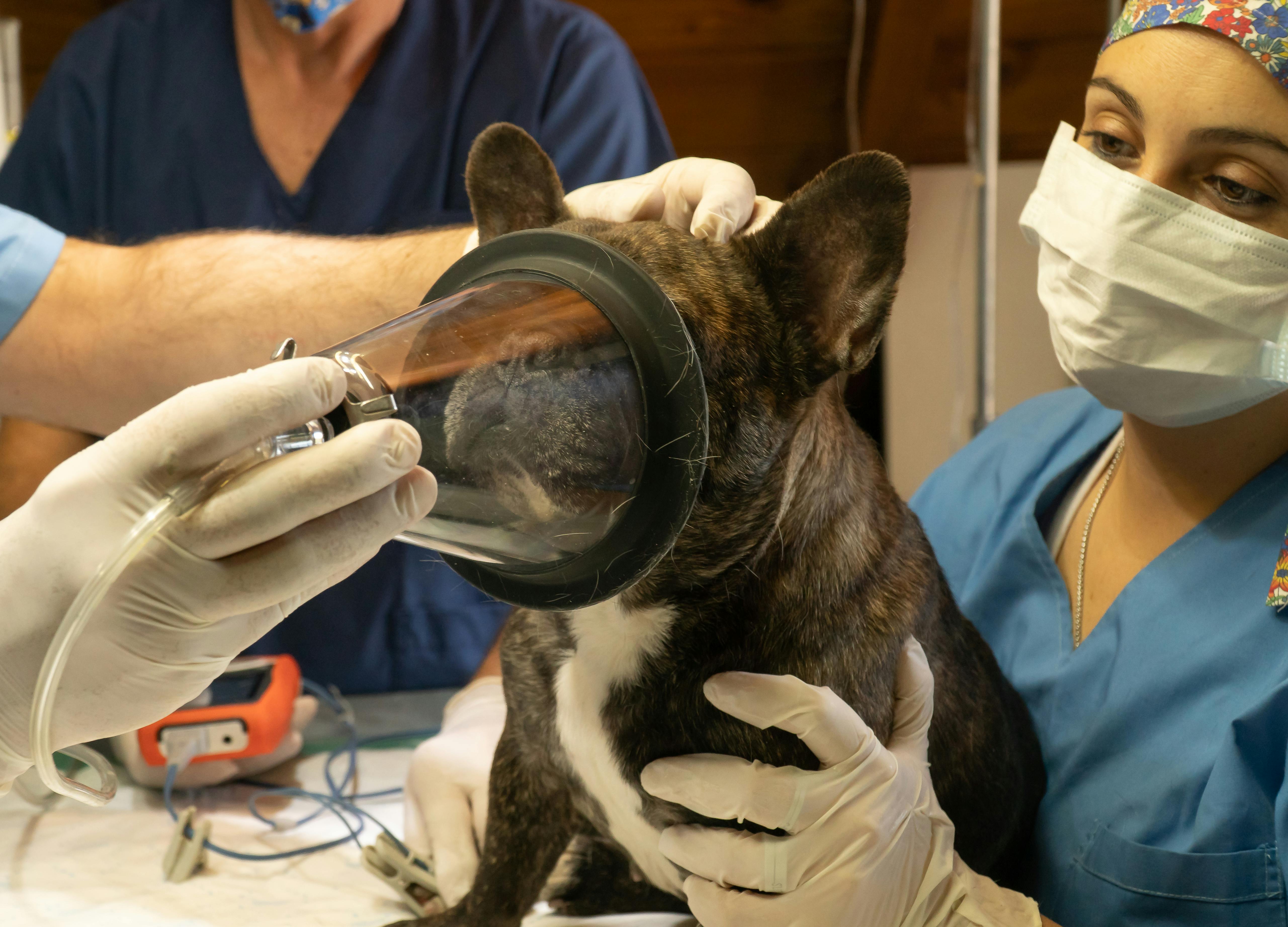 Laboratory diagnostics