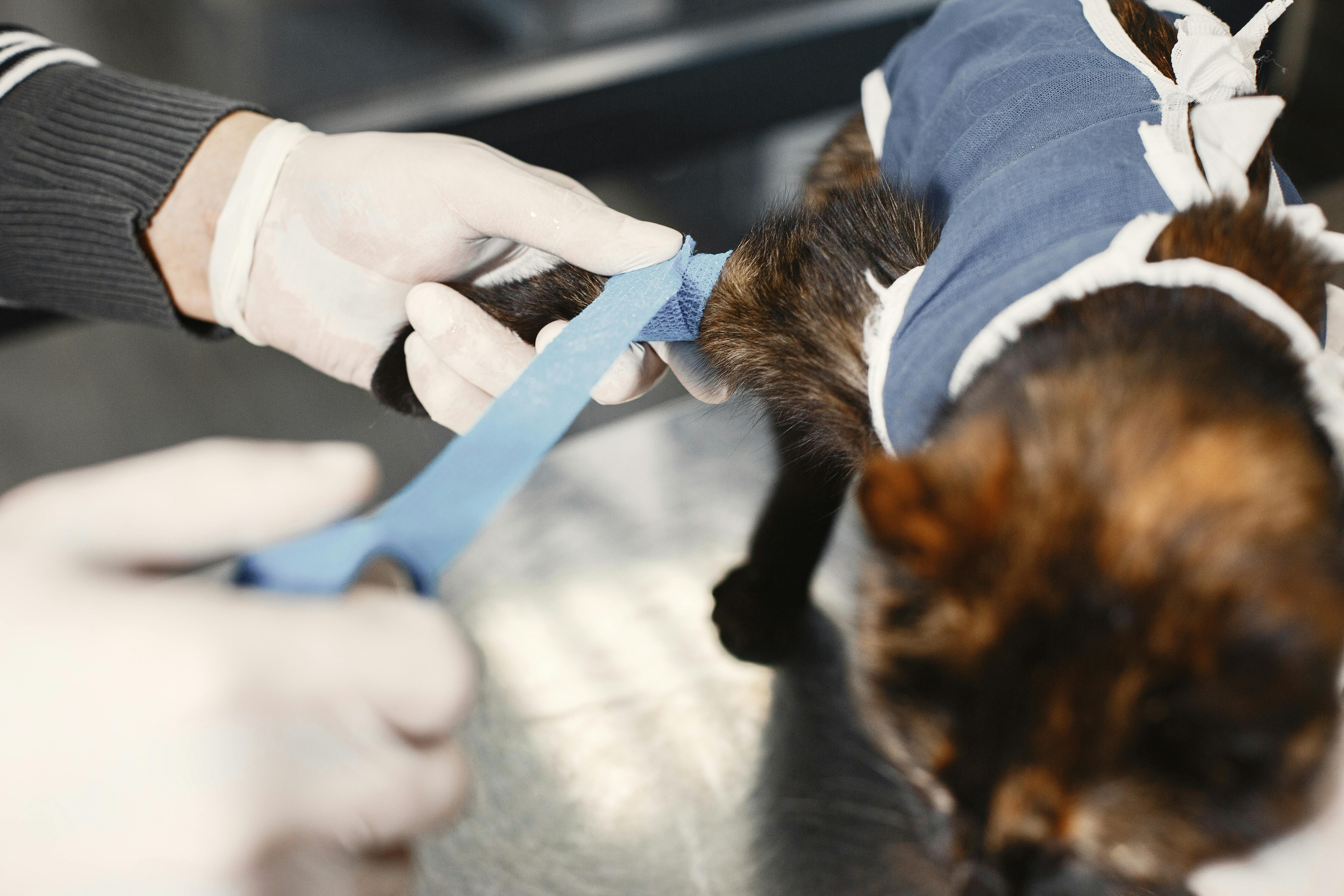 Surgical procedures