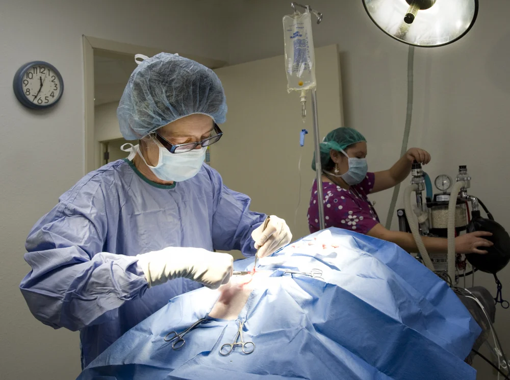Surgical instruments