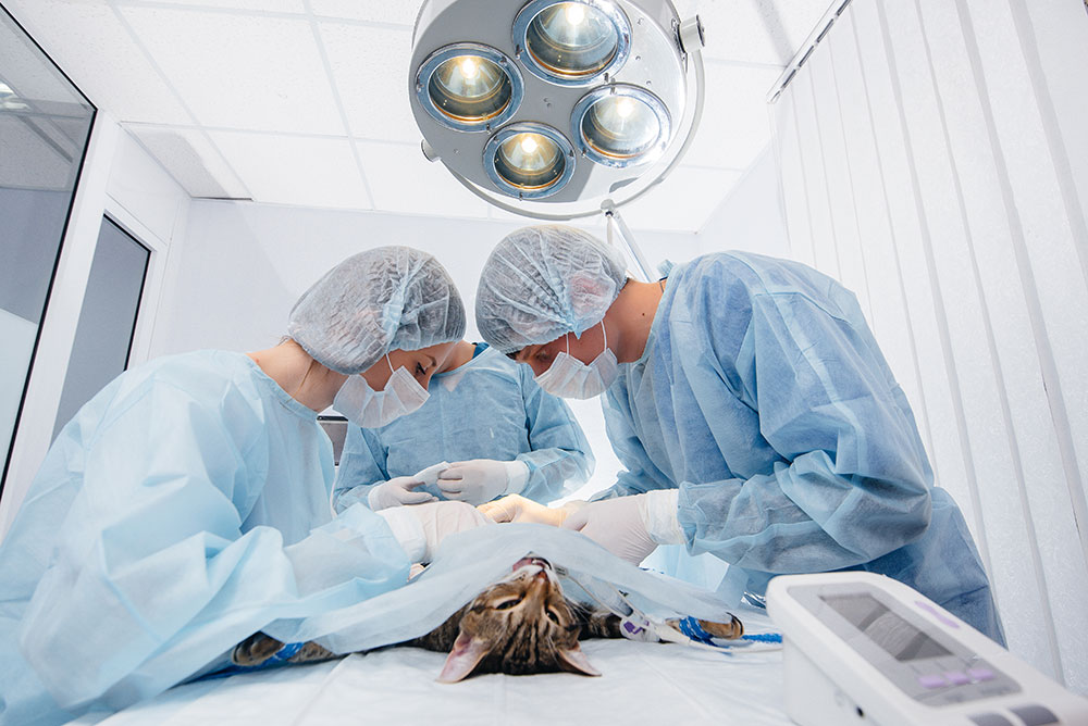 Operating room