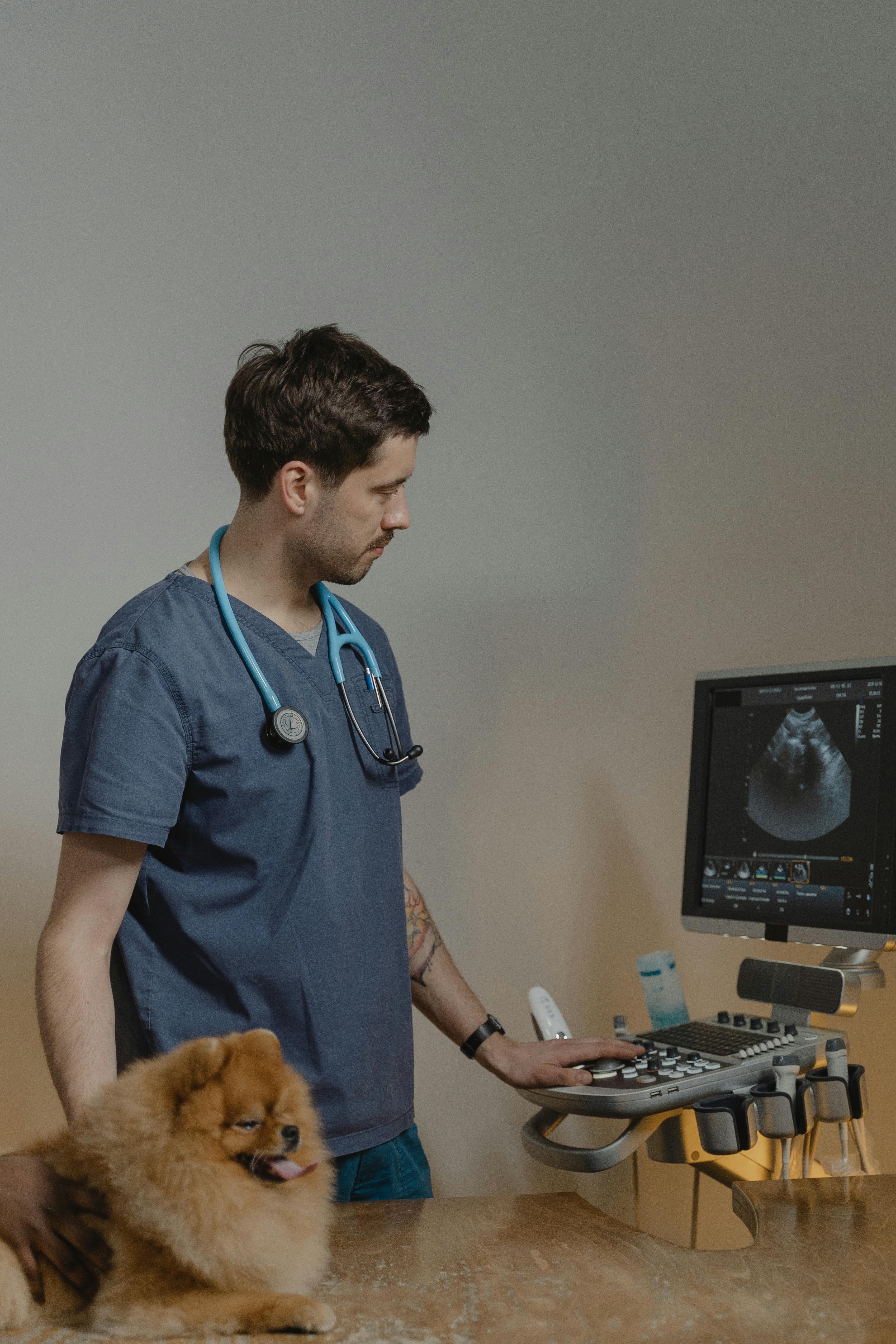 Pet vaccination